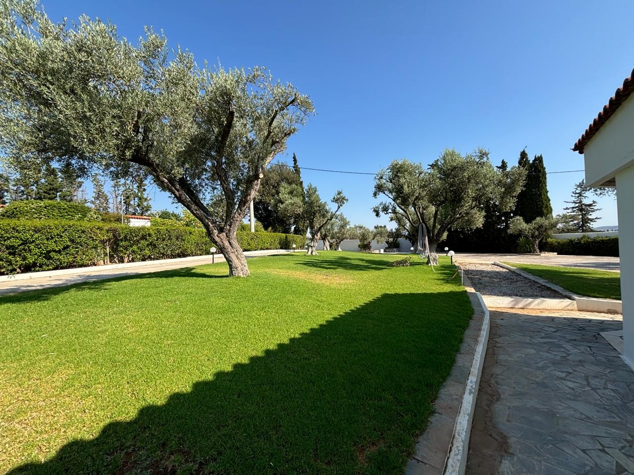 Gallery image 26