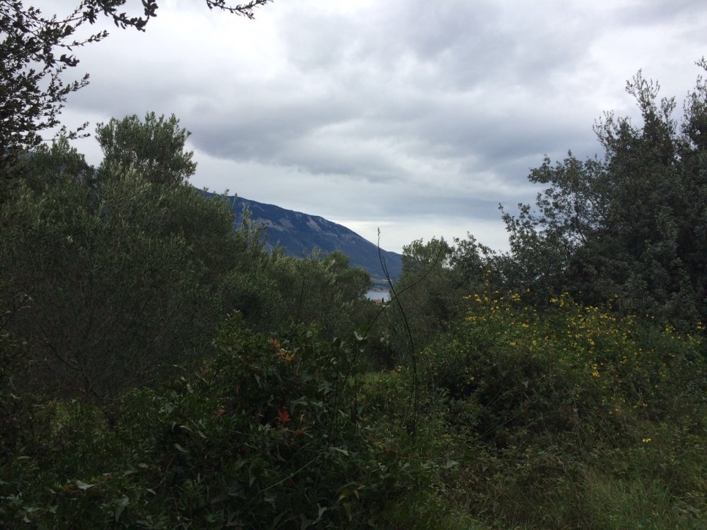 Gallery image 13