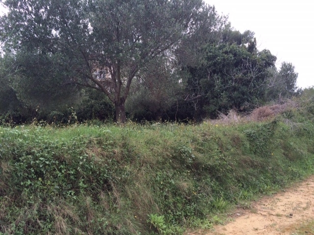Gallery image 16