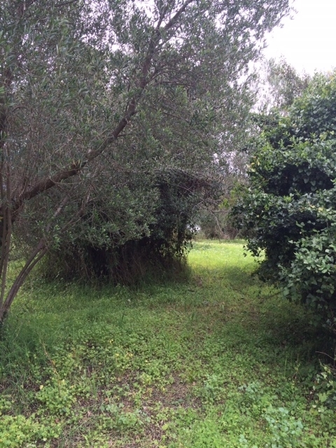 Gallery image 11