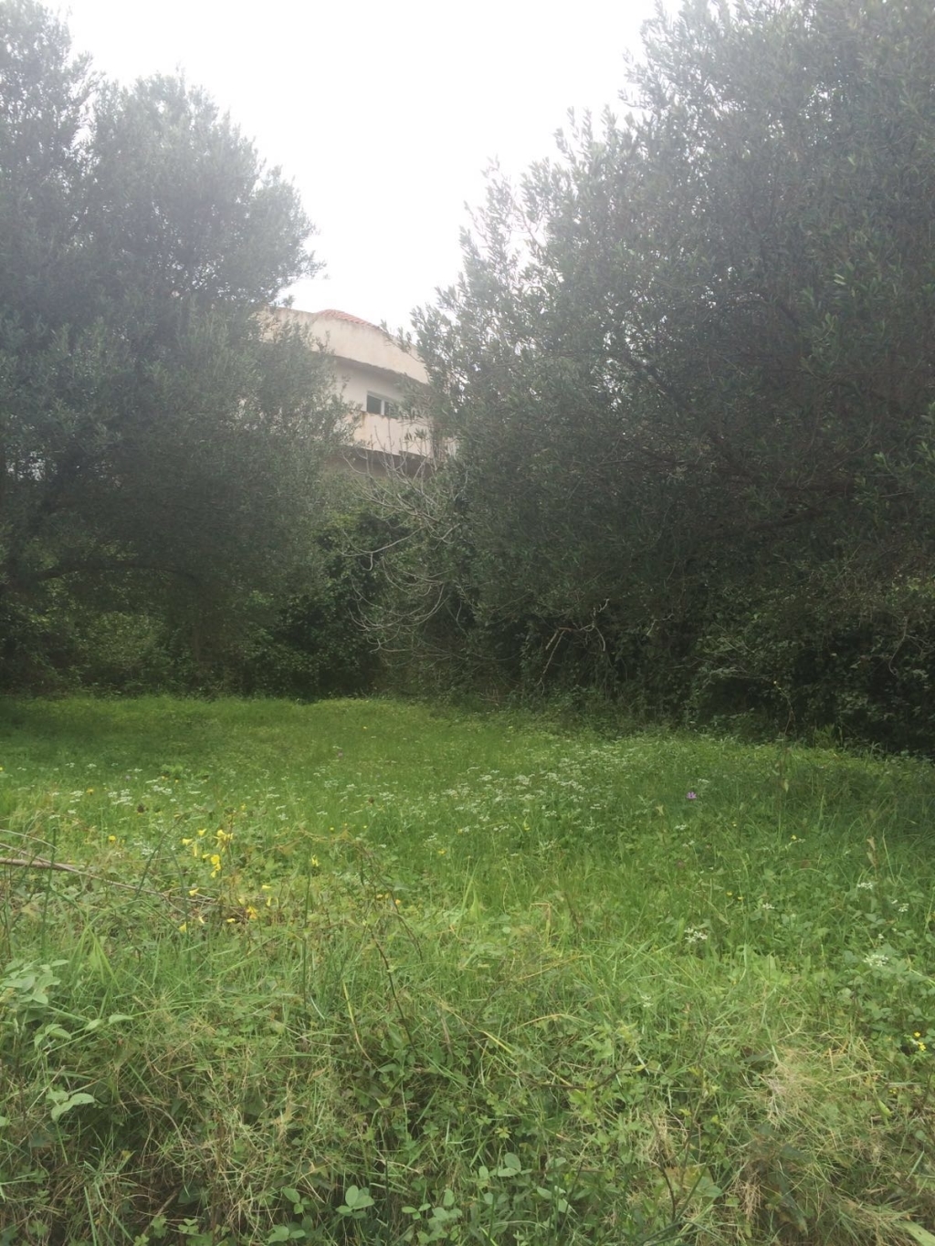 Gallery image 17