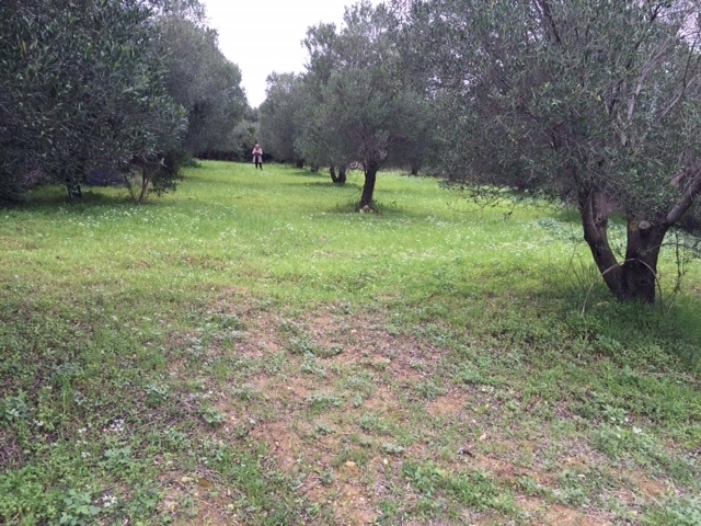 Gallery image 6