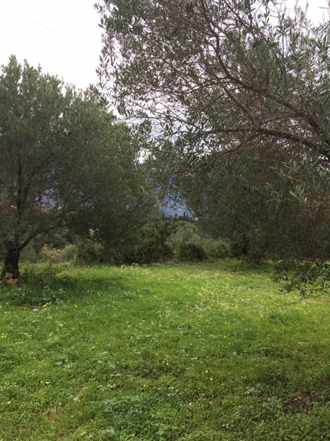Gallery image 10
