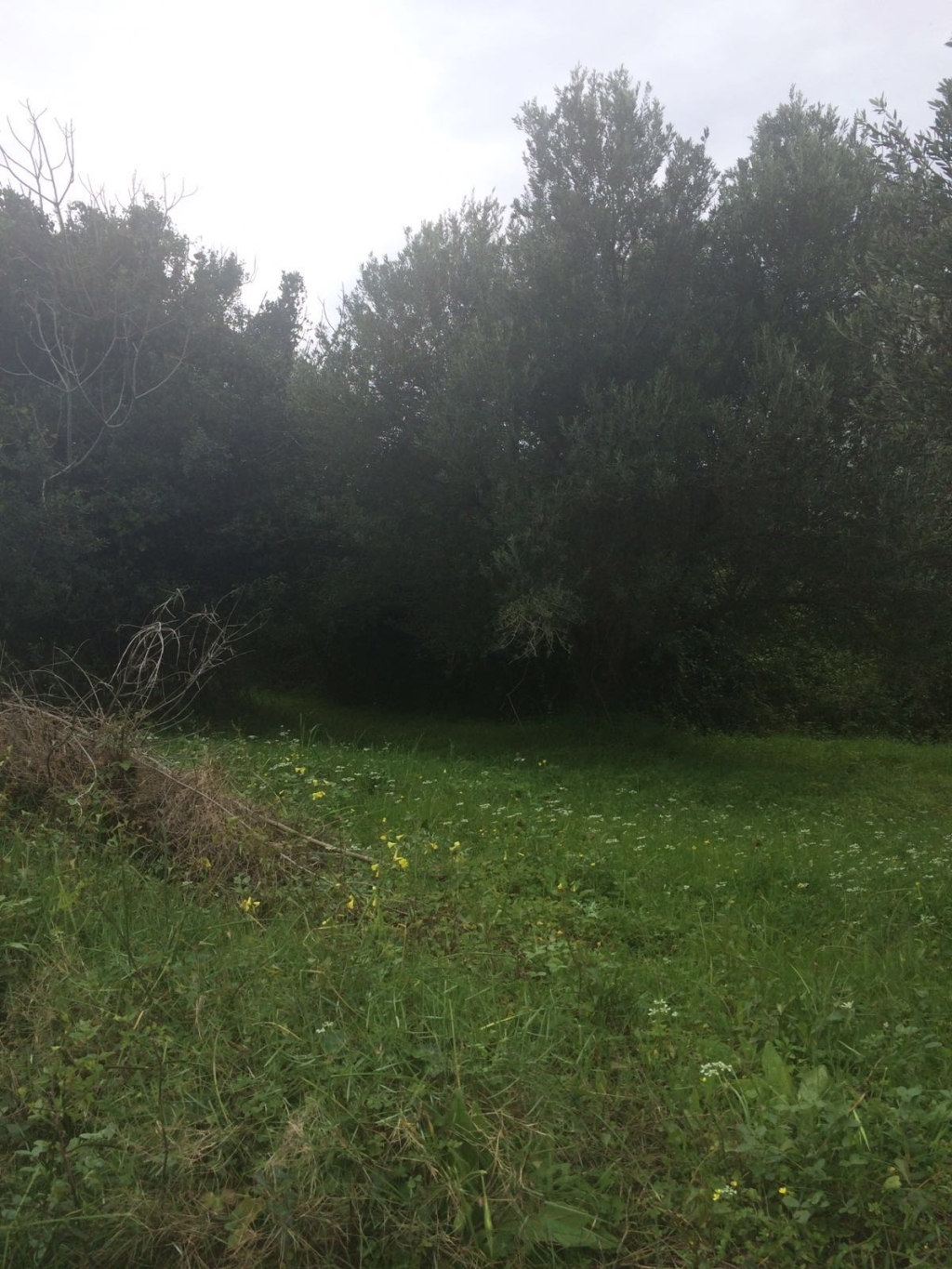 Gallery image 18