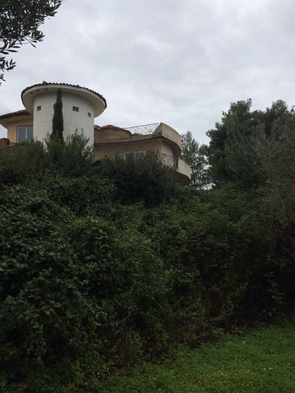 Gallery image 19