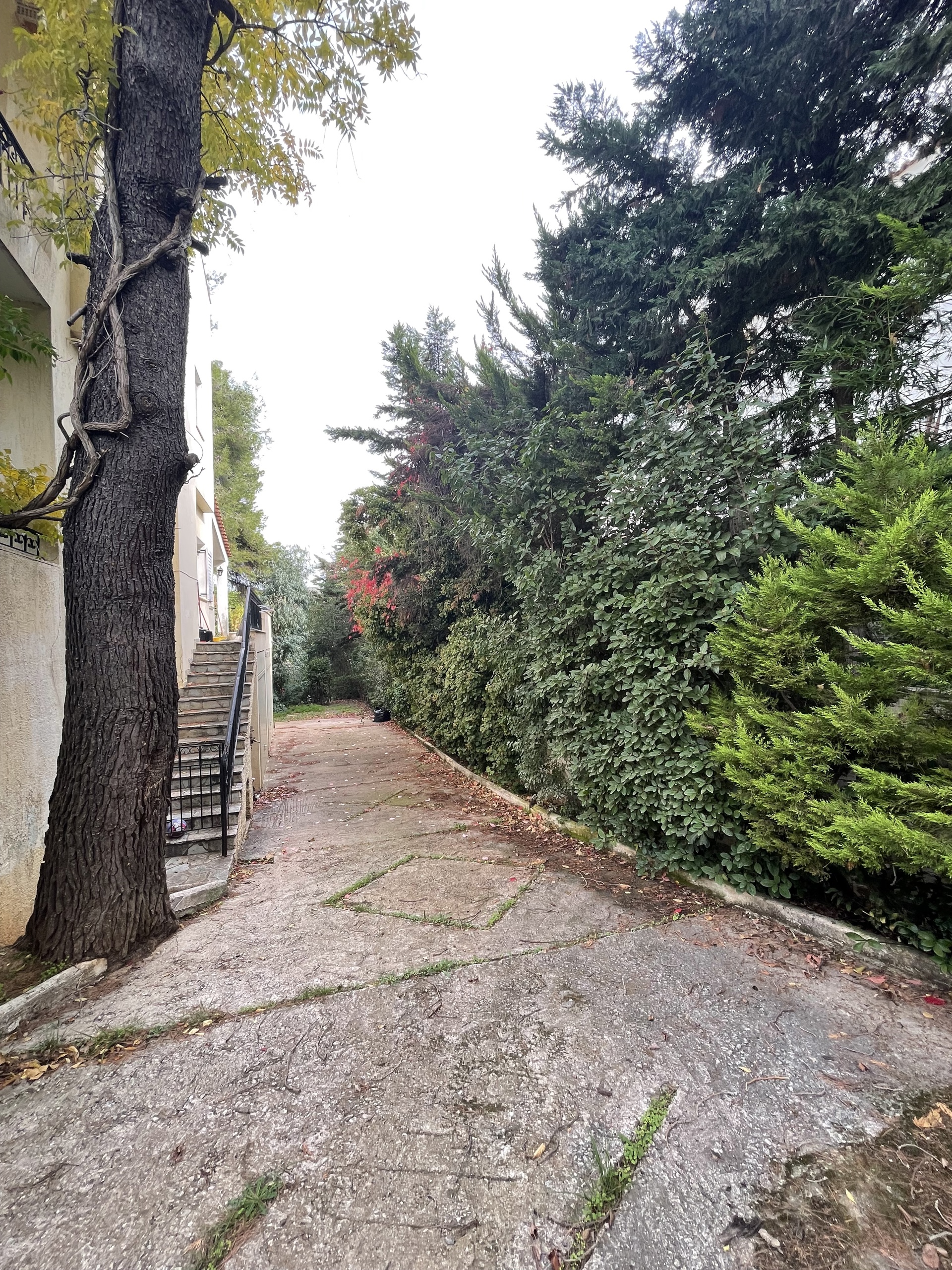 Gallery image 13