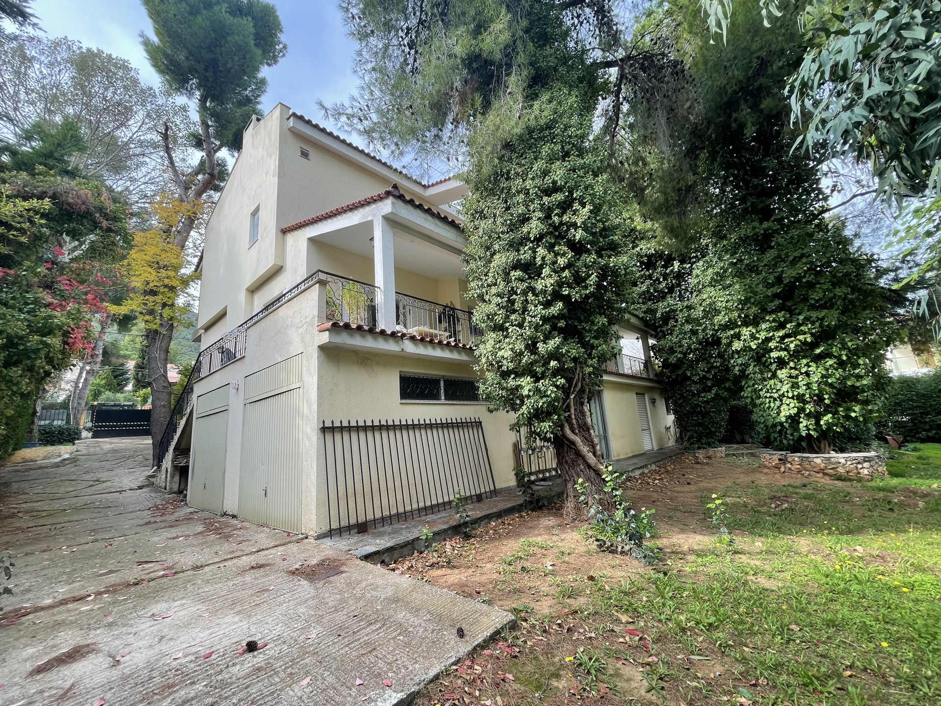 Gallery image 14