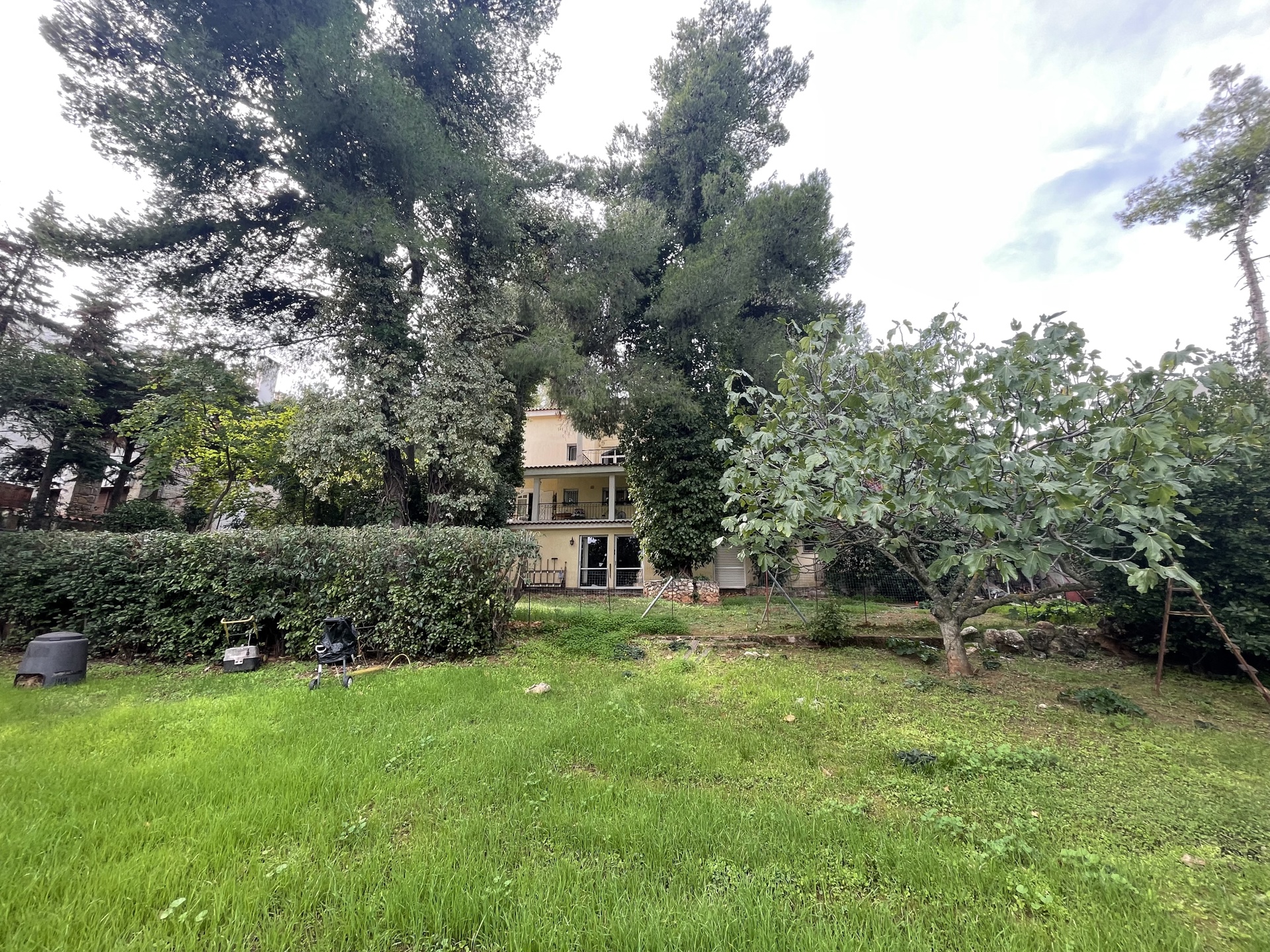 Gallery image 22
