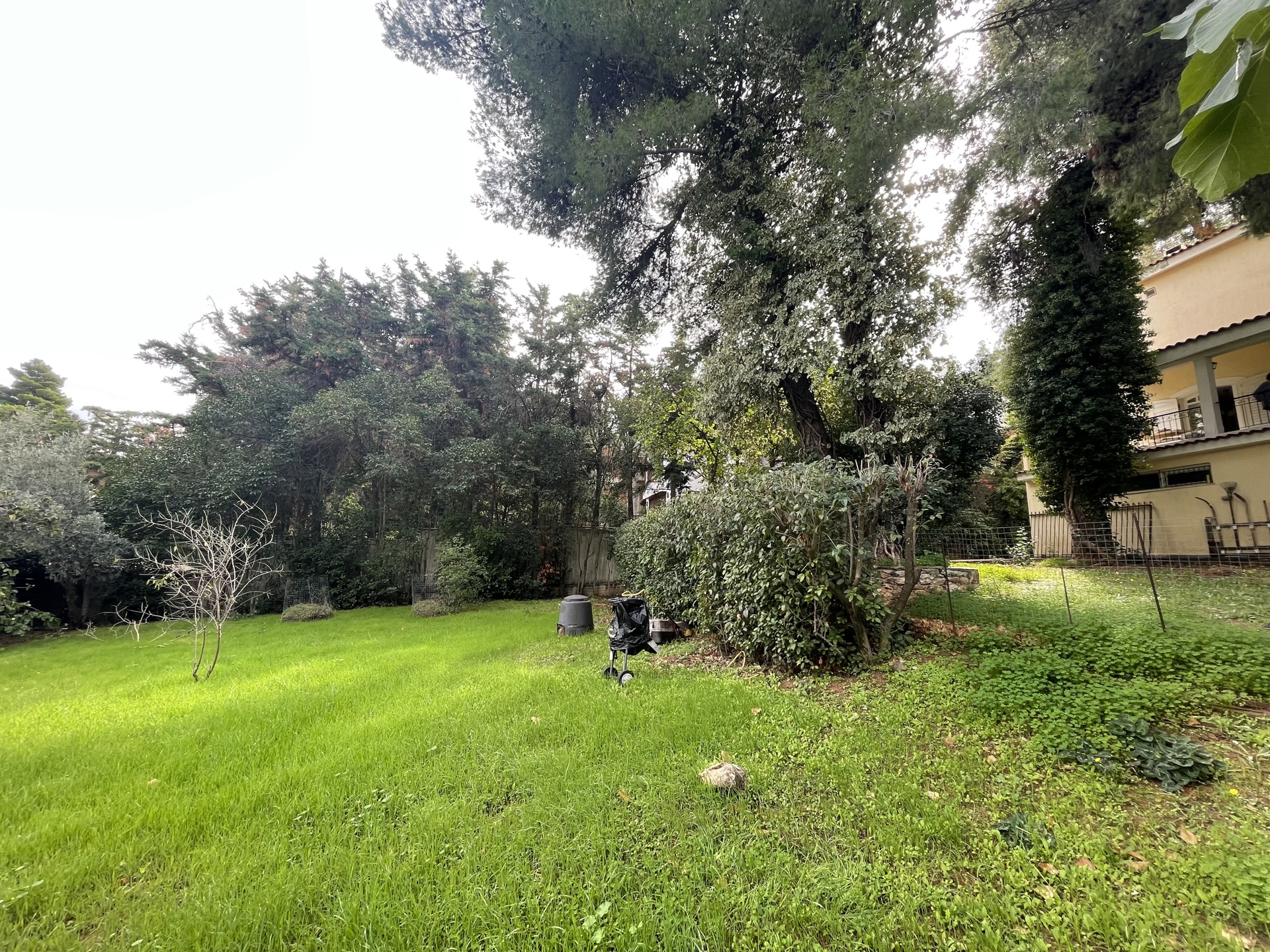 Gallery image 11