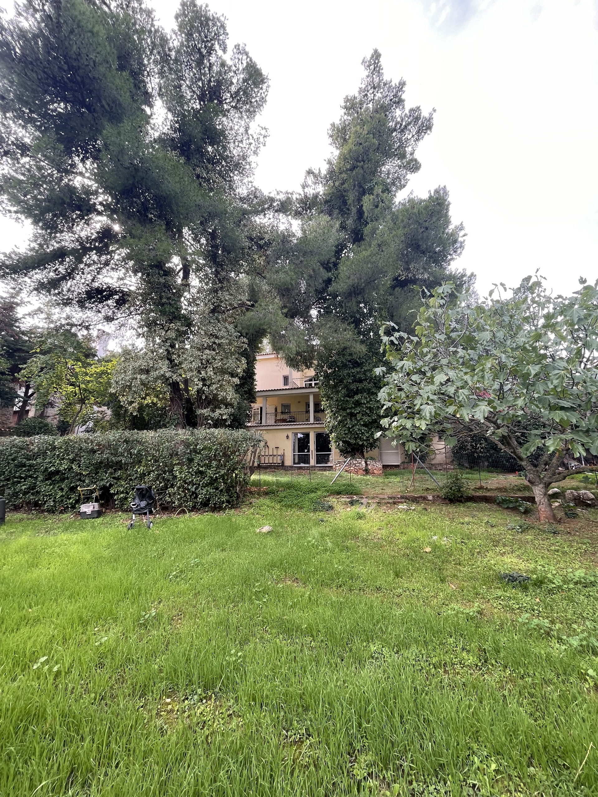 Gallery image 19