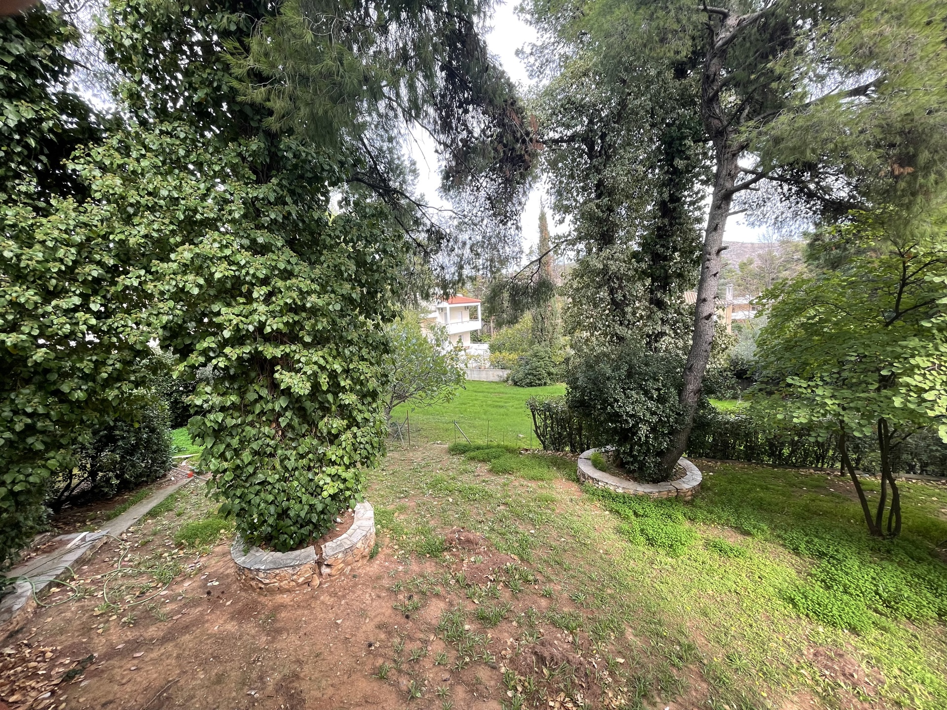 Gallery image 10