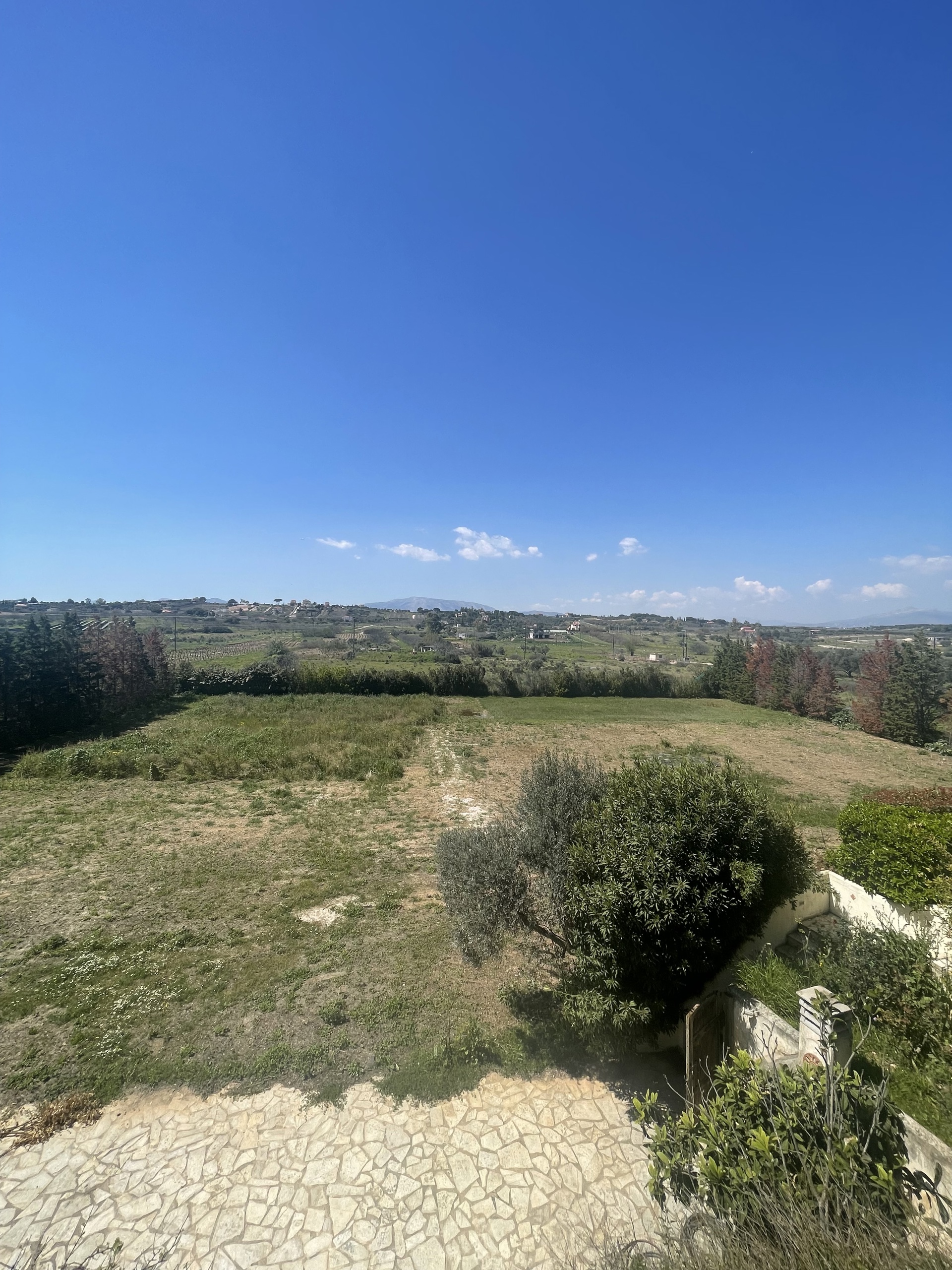 Gallery image 37