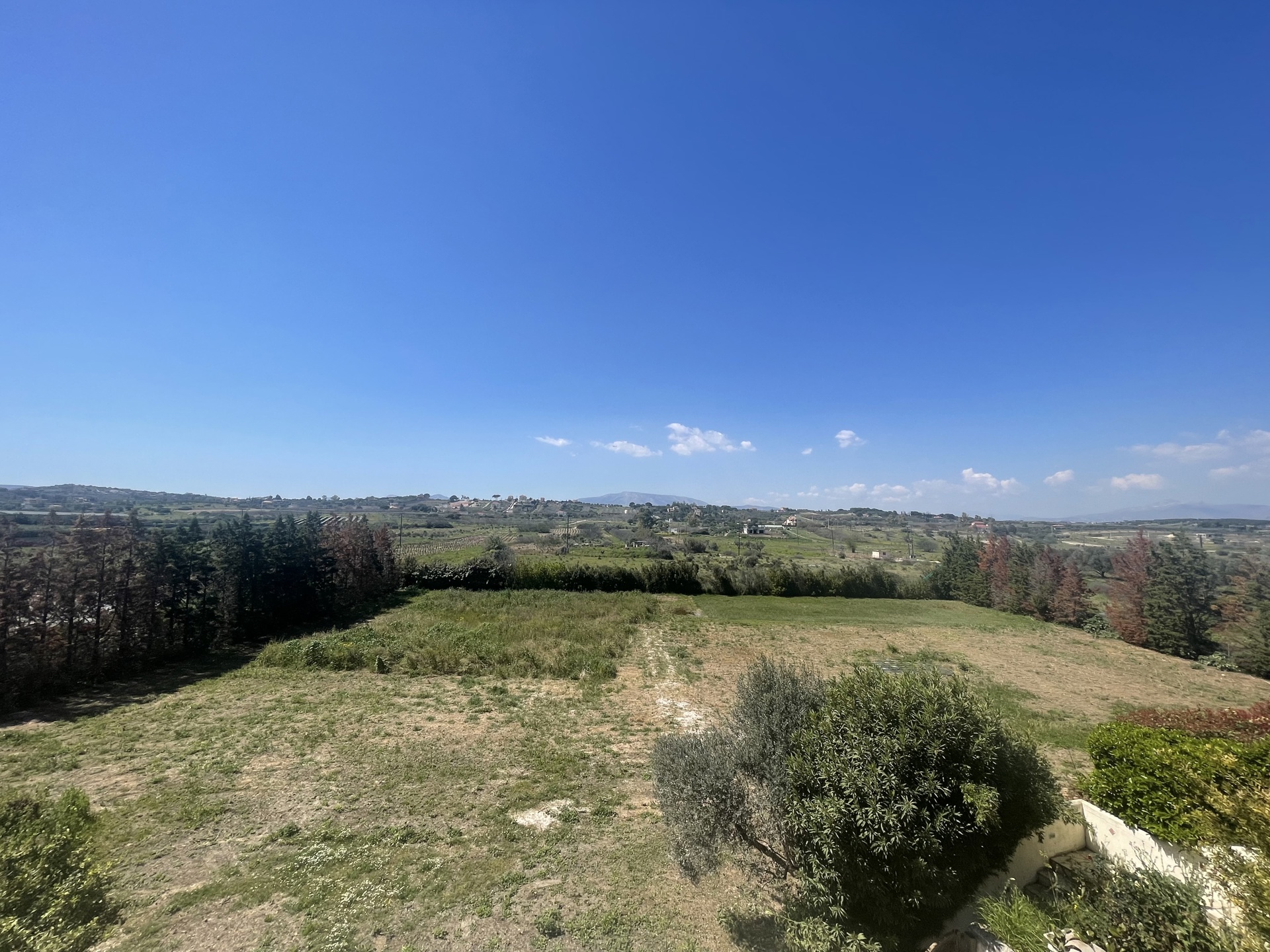 Gallery image 36