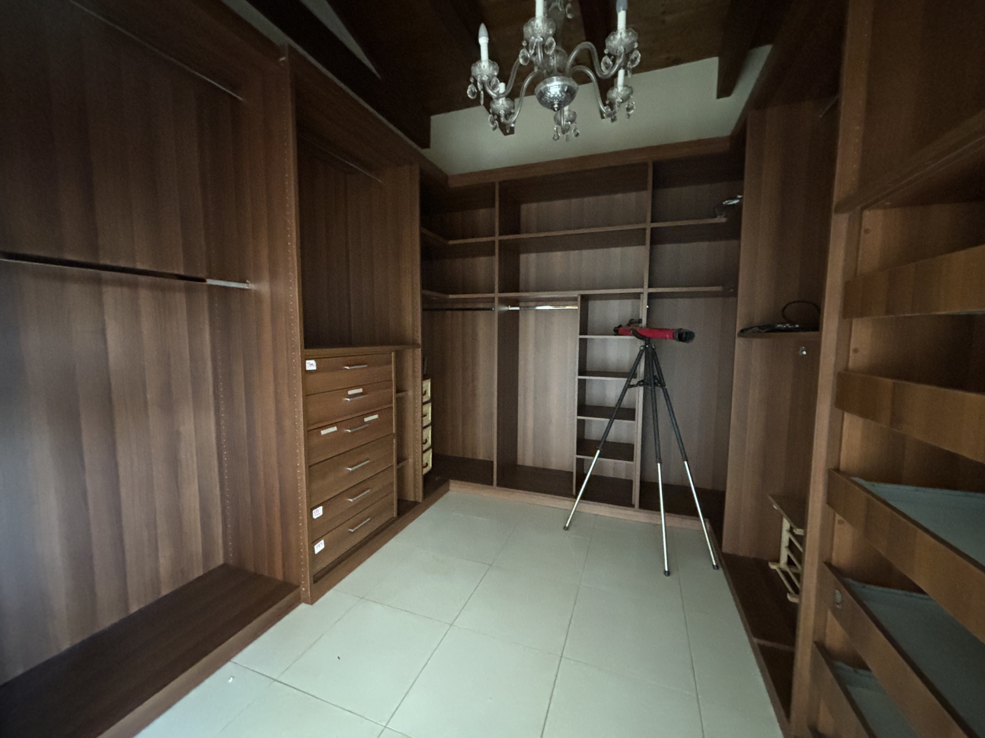 Gallery image 13