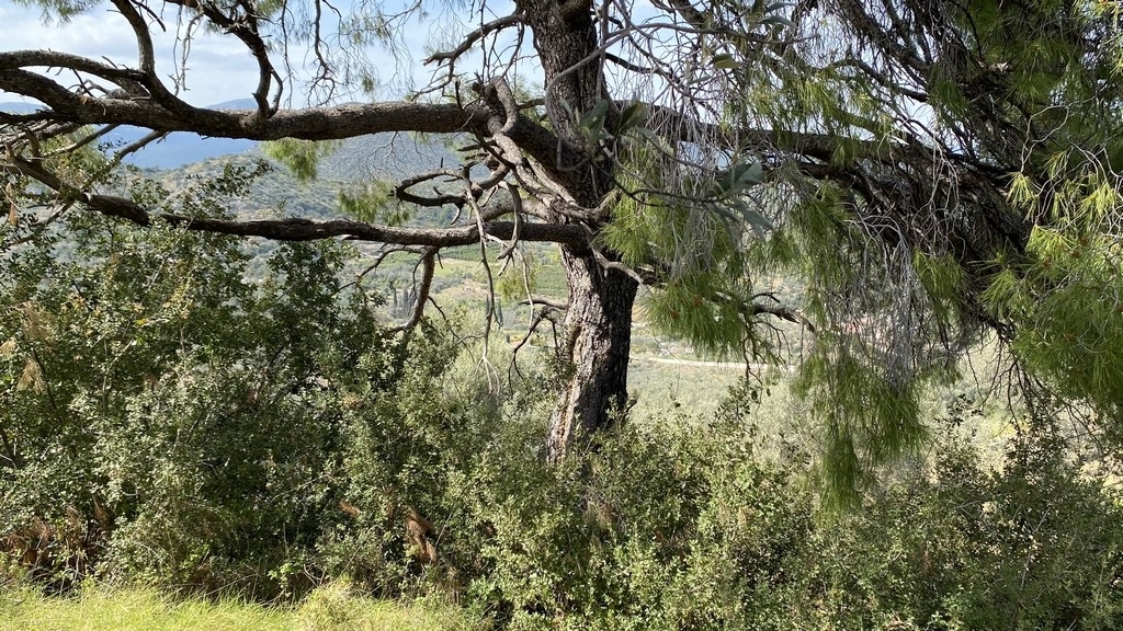 Gallery image 15