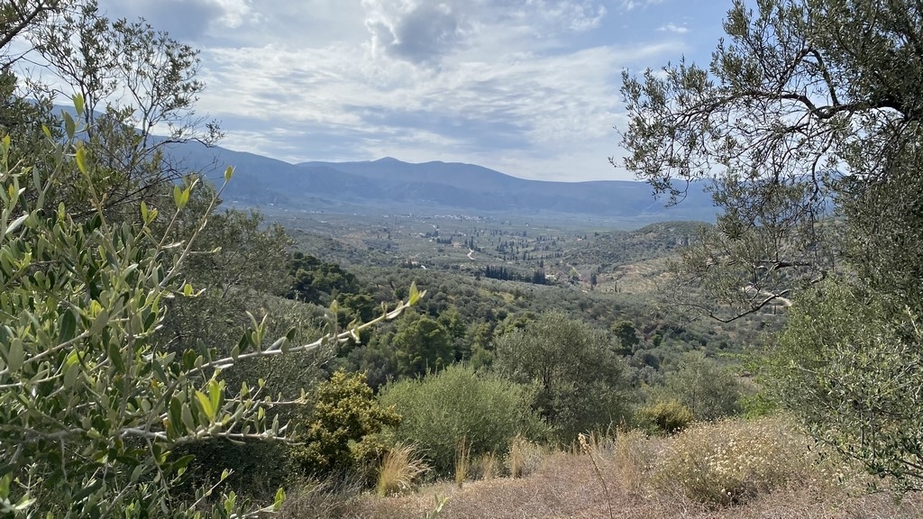 Gallery image 14