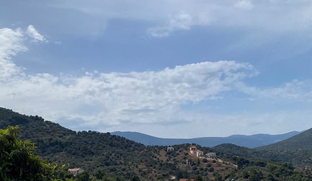 Gallery image 17