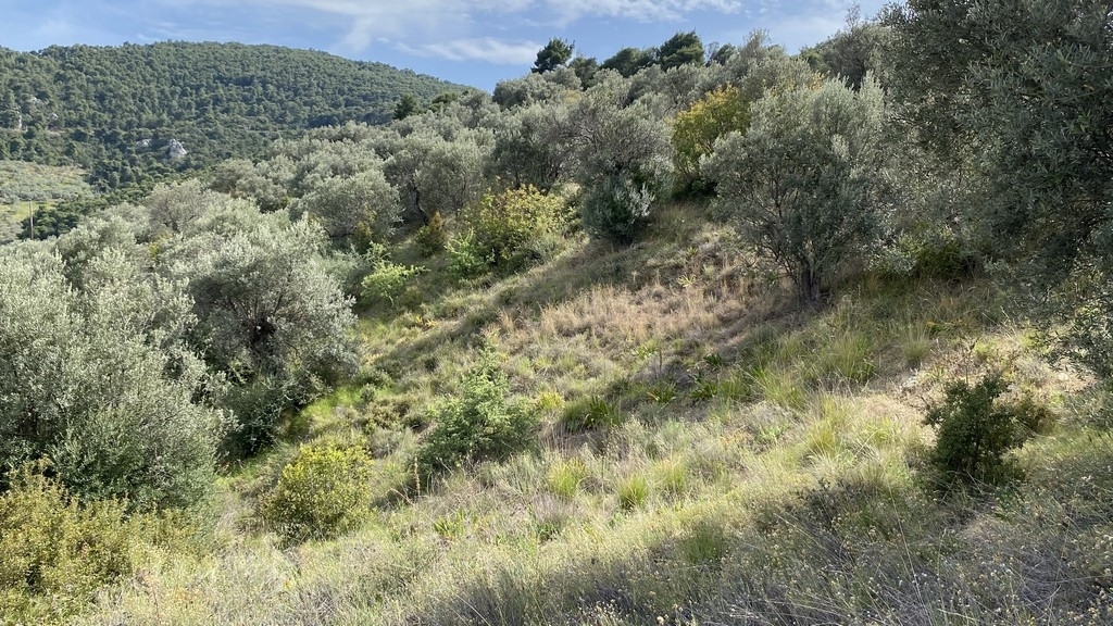 Gallery image 13