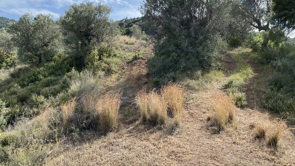 Gallery image 11