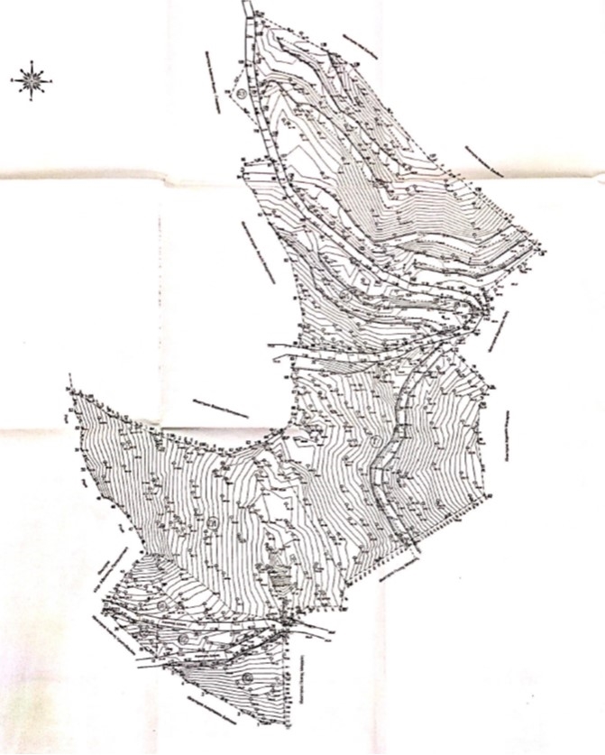 Gallery image 10