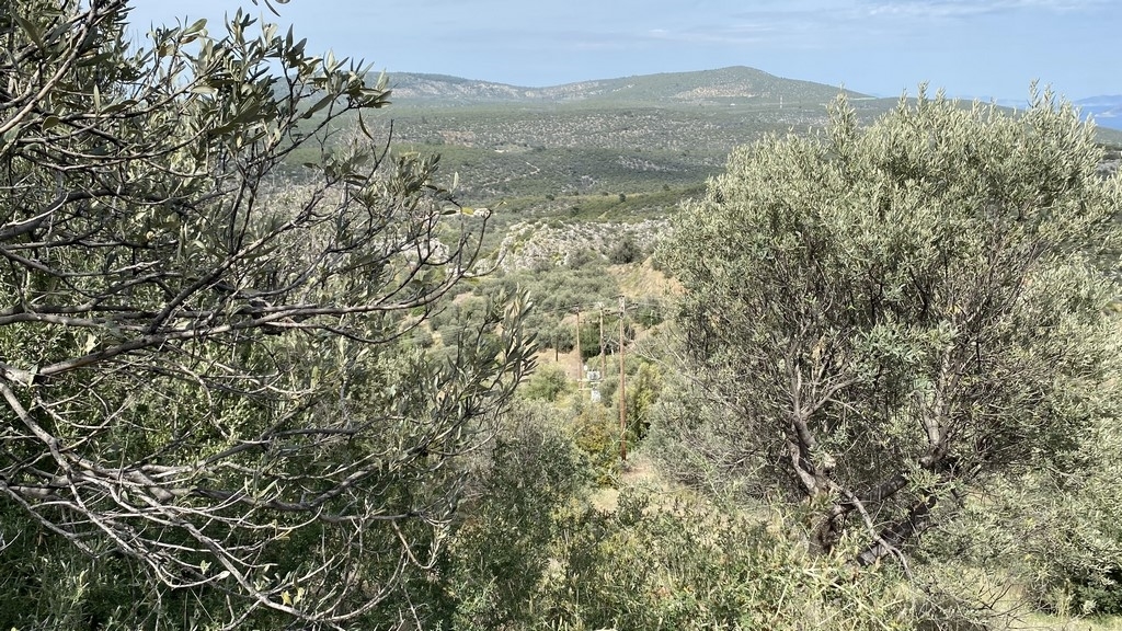 Gallery image 12