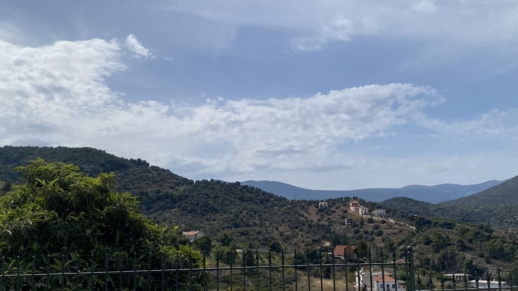 Gallery image 16