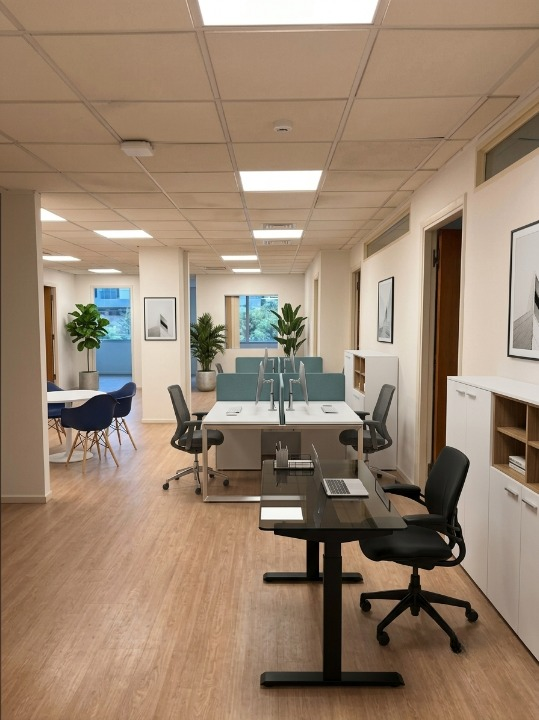 Gallery image 4
