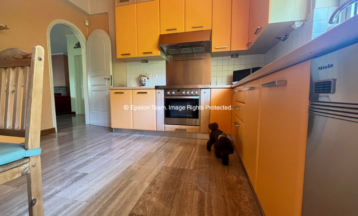 Gallery image 12