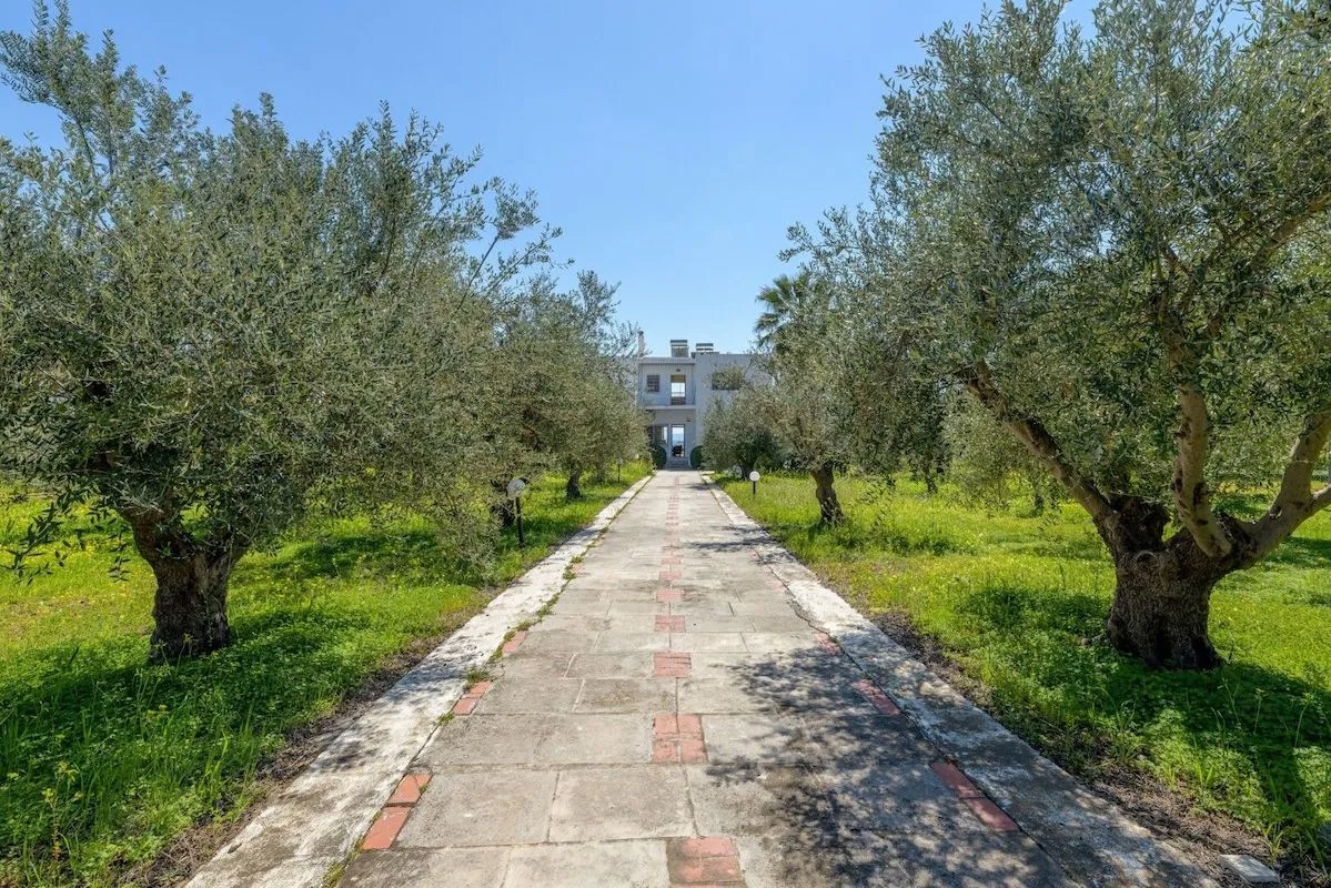 Gallery image 18