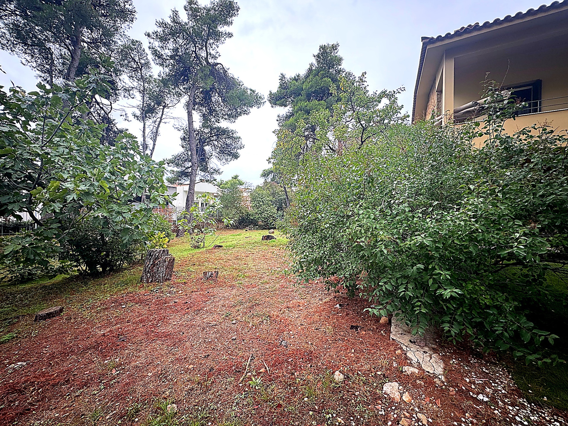 Gallery image 16