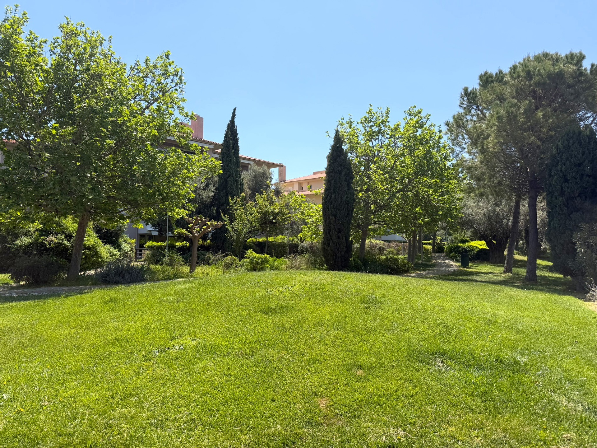 Gallery image 17