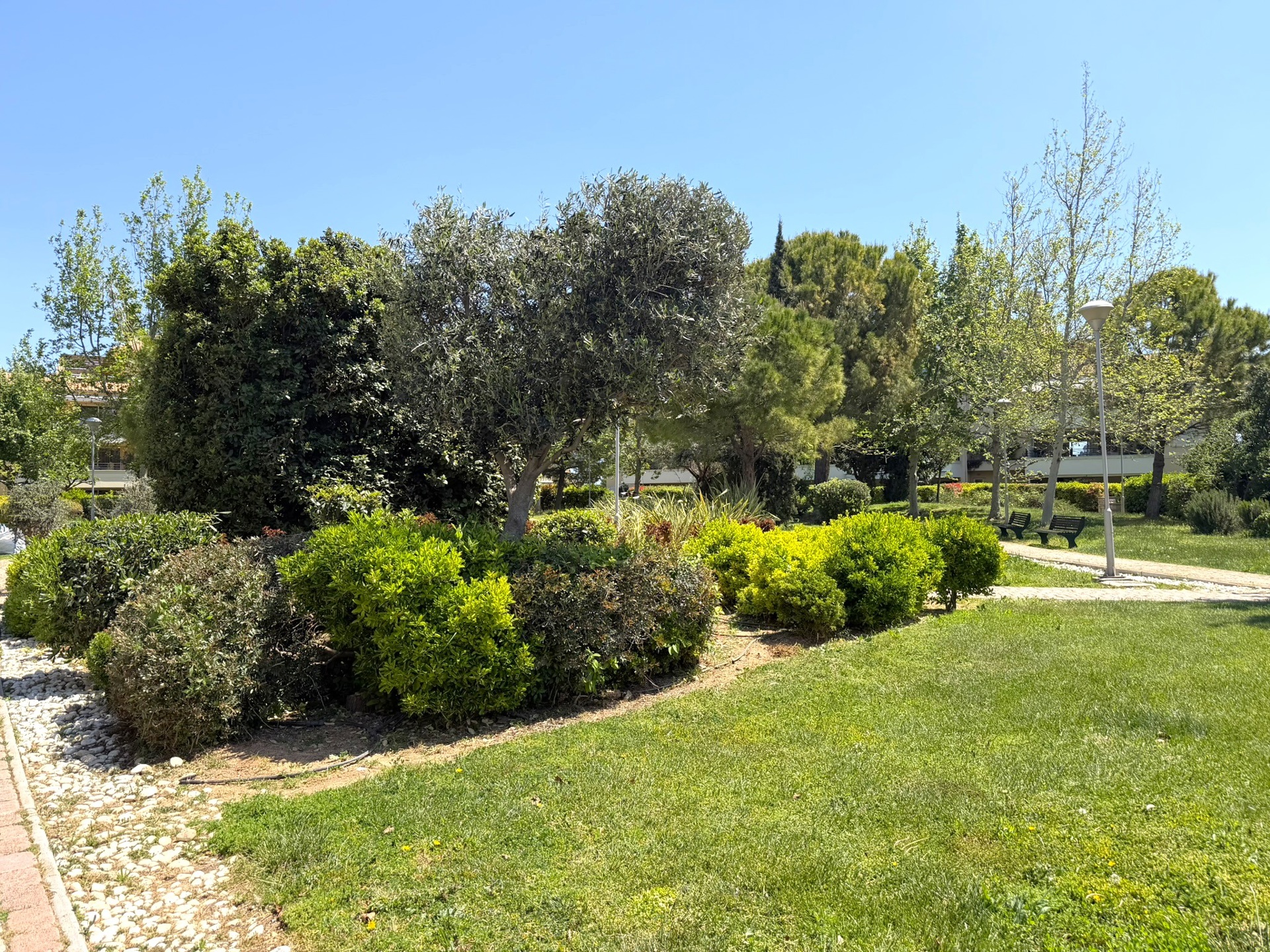 Gallery image 18
