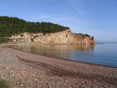 Gallery image 2