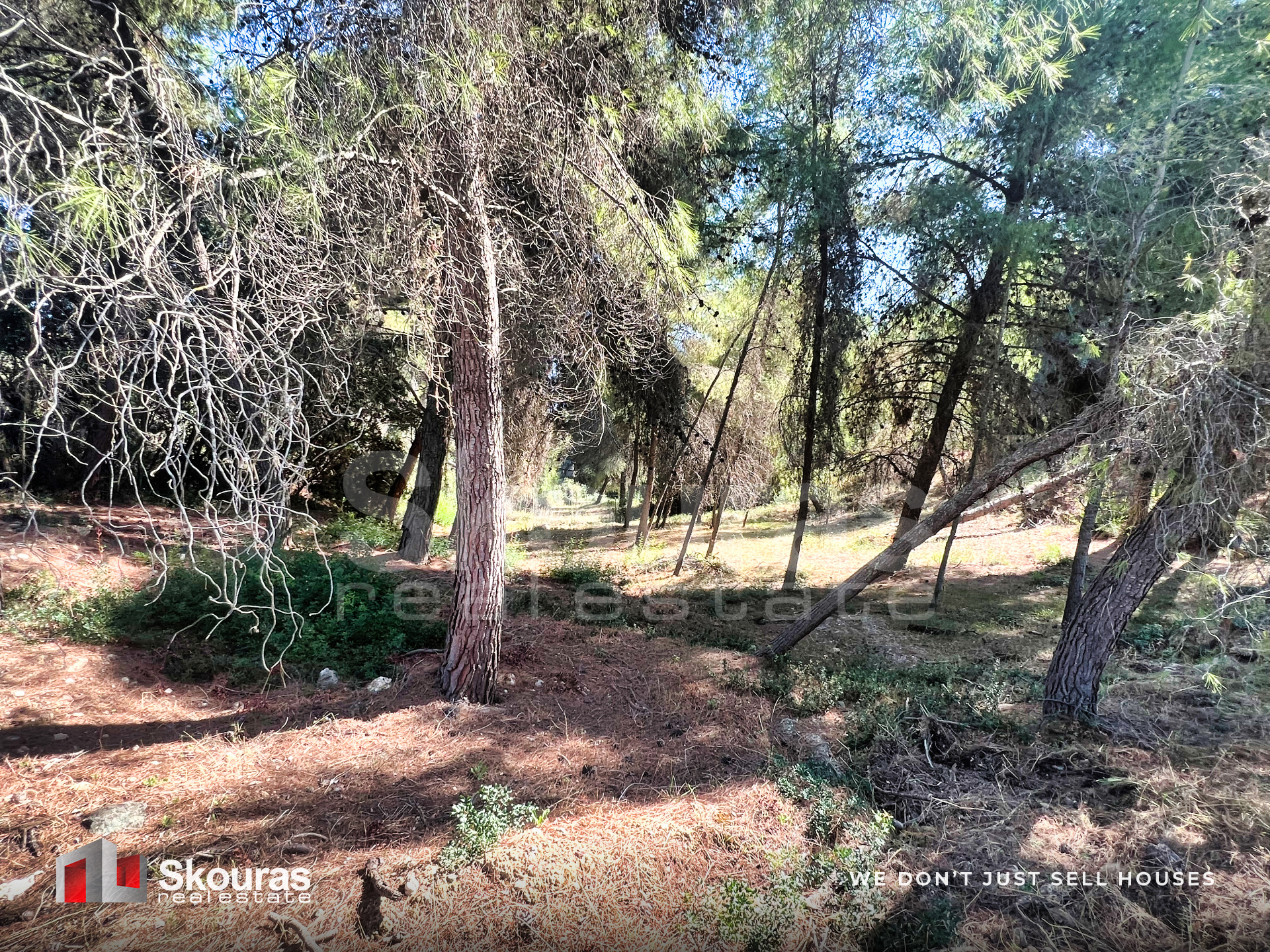 Gallery image 17