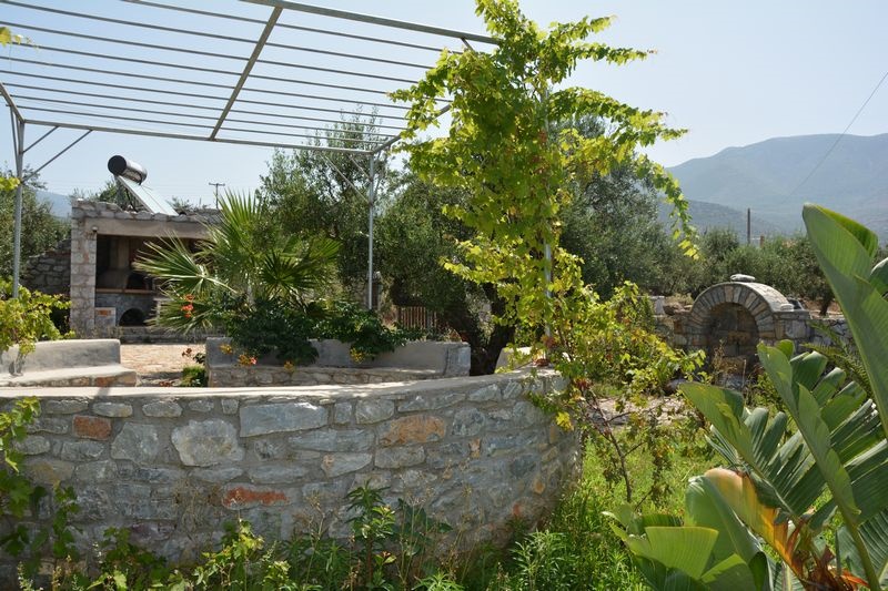 Gallery image 6