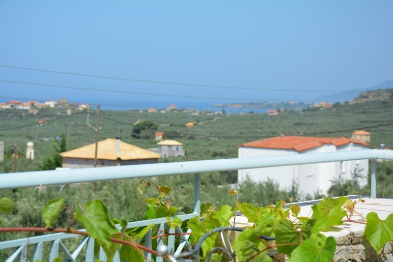 Gallery image 12
