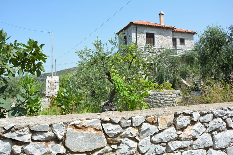 Gallery image 26
