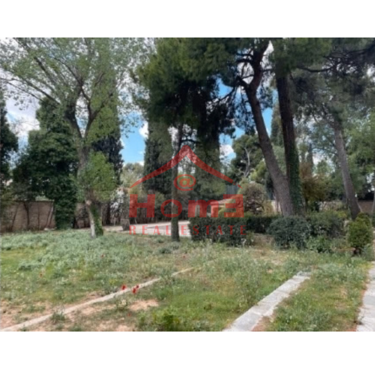 Gallery image 12
