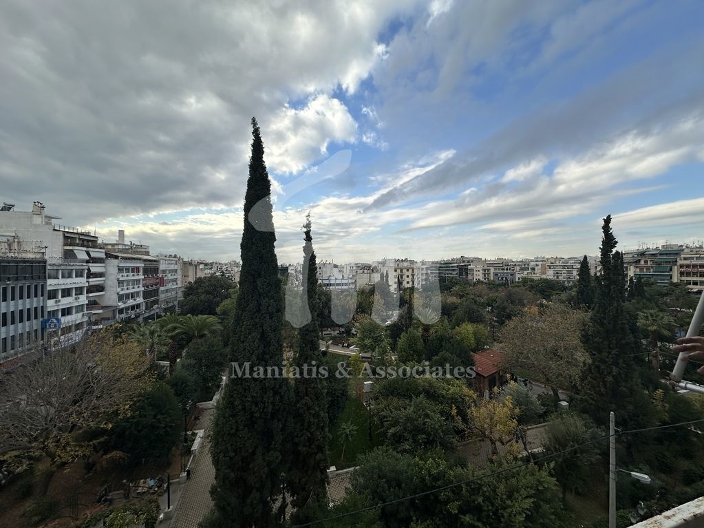 Gallery image 7