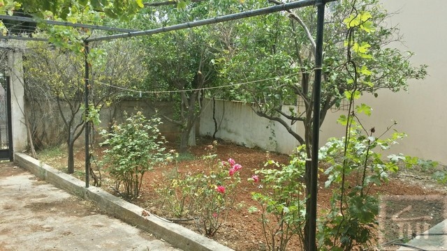 Gallery image 8