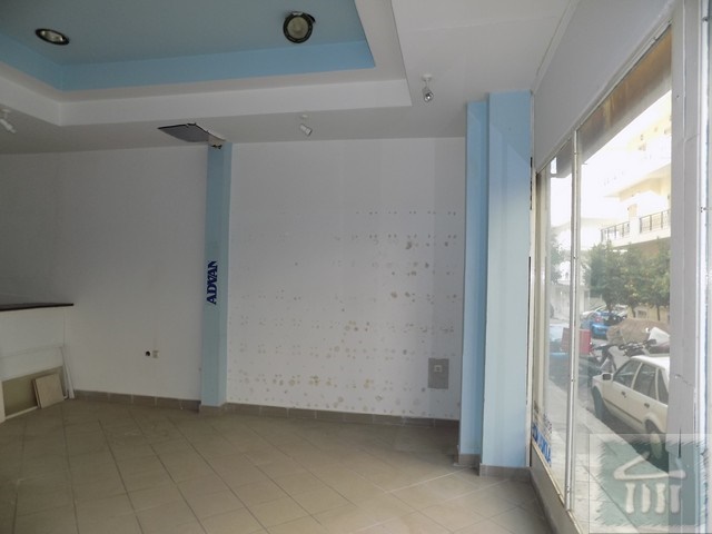 Gallery image 6