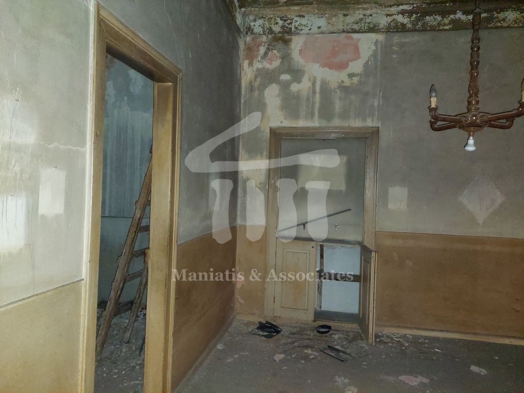 Gallery image 19