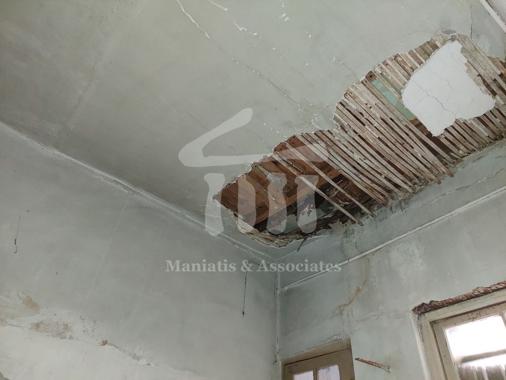 Gallery image 11