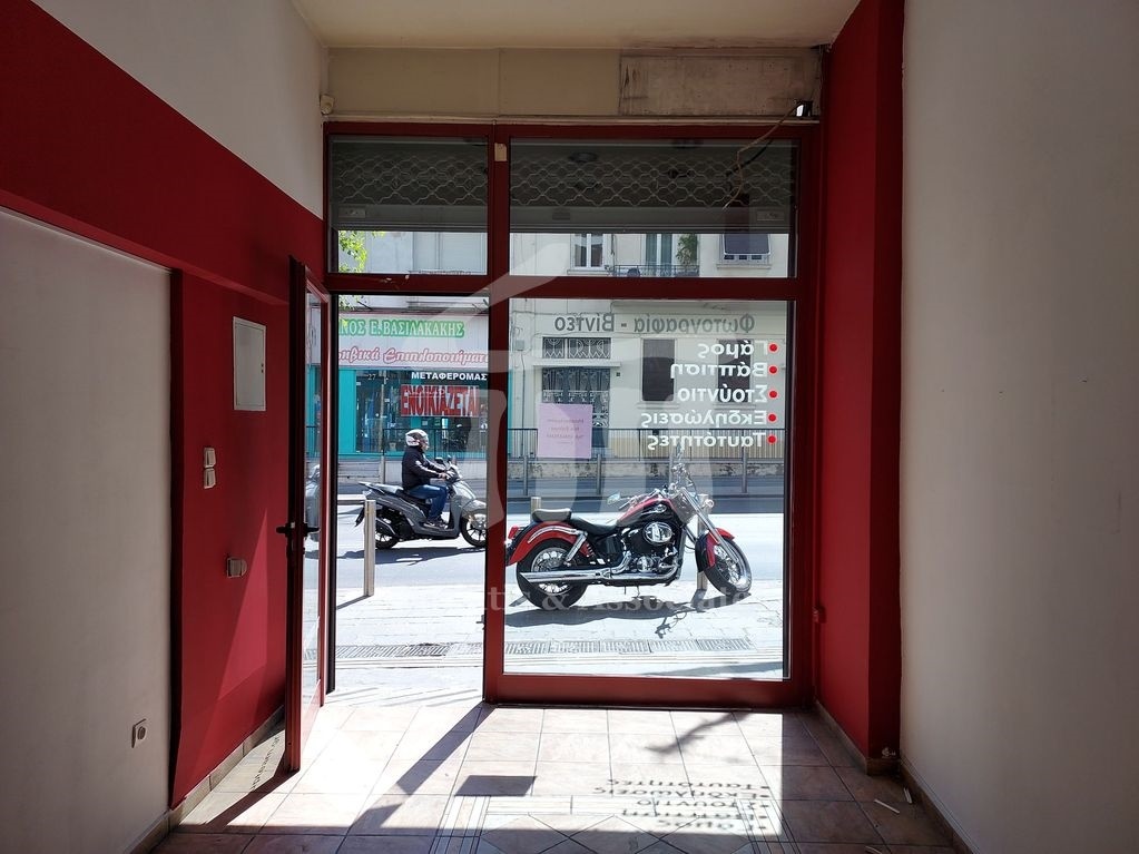 Gallery image 12