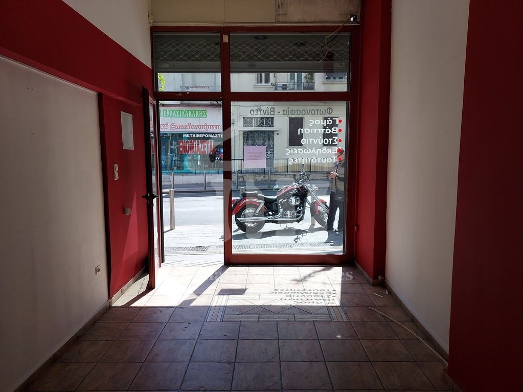 Gallery image 18