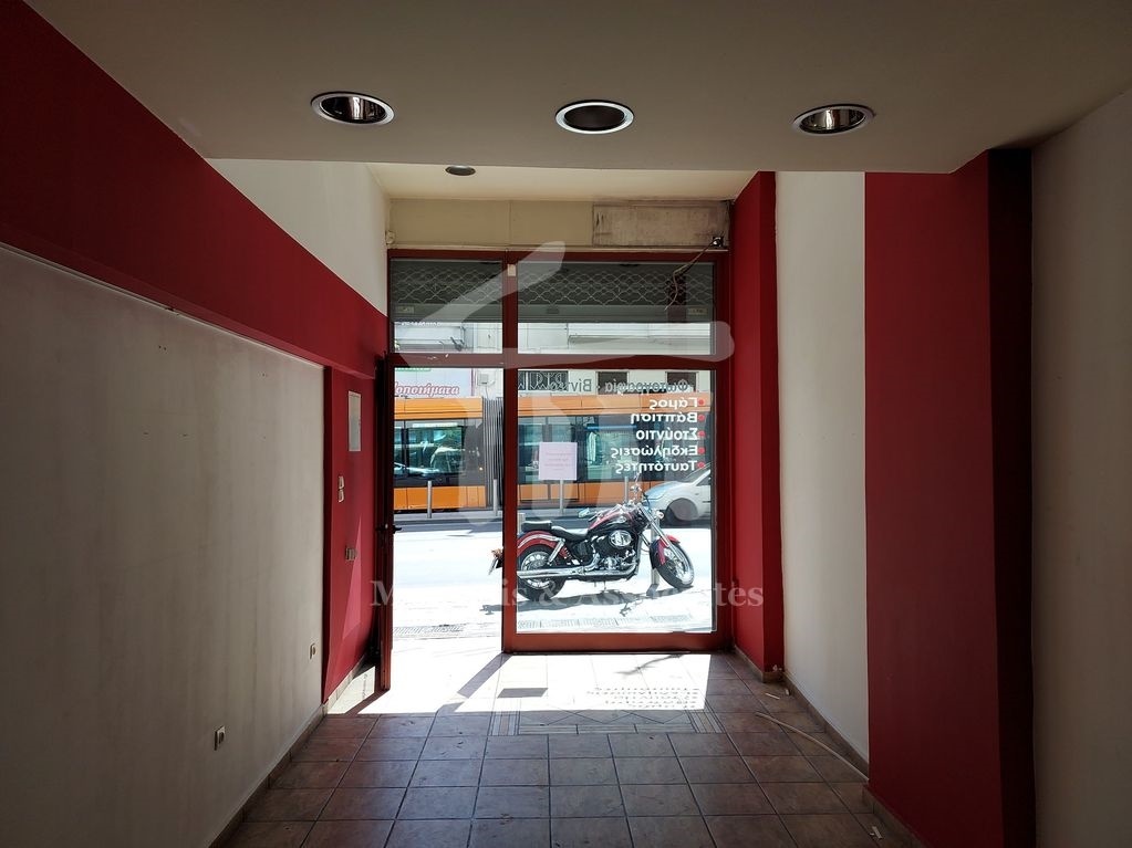Gallery image 9