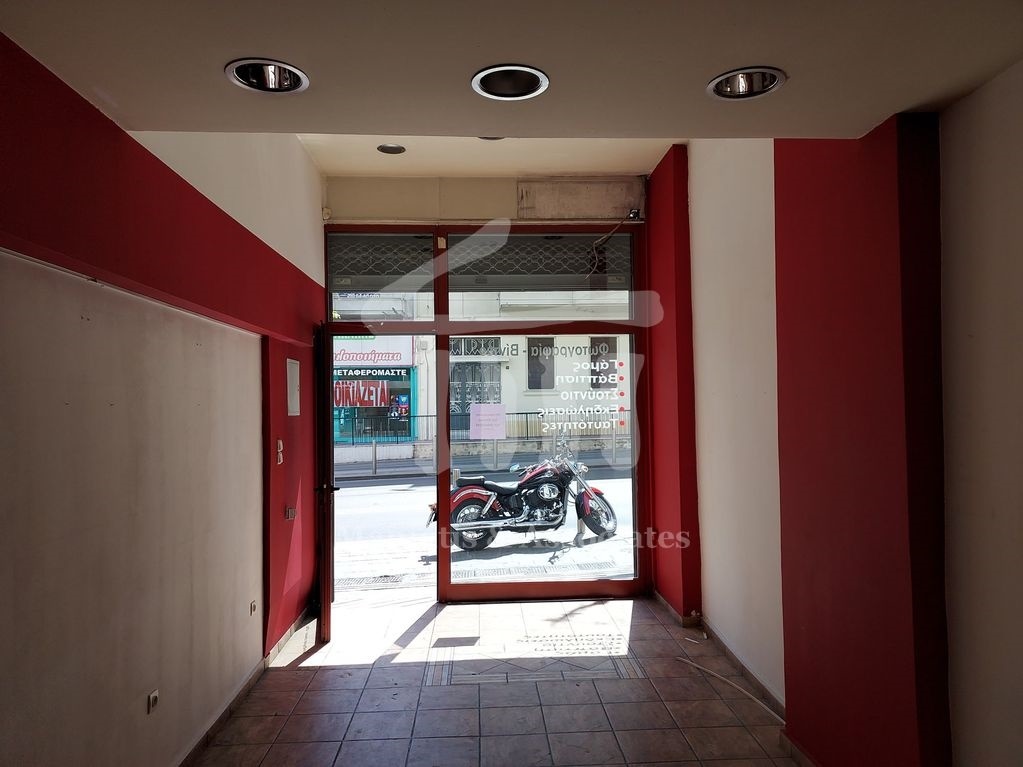 Gallery image 6