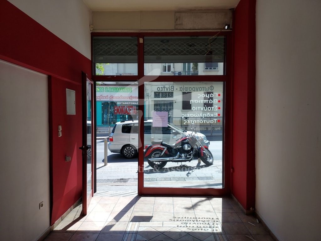 Gallery image 14