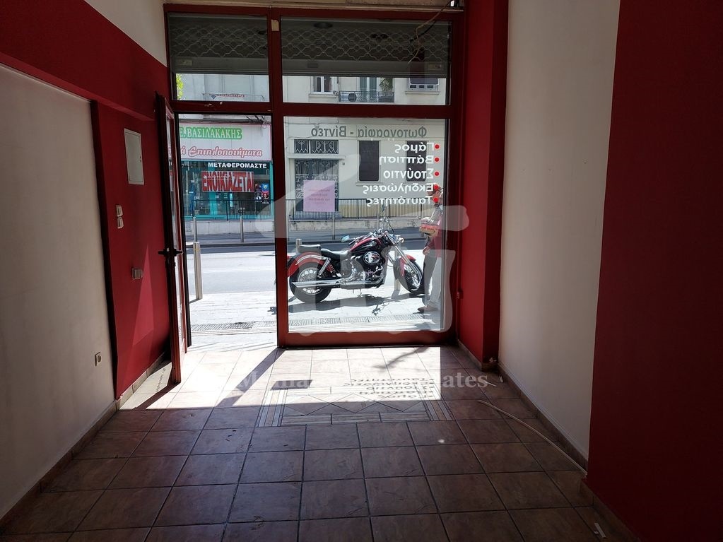 Gallery image 23