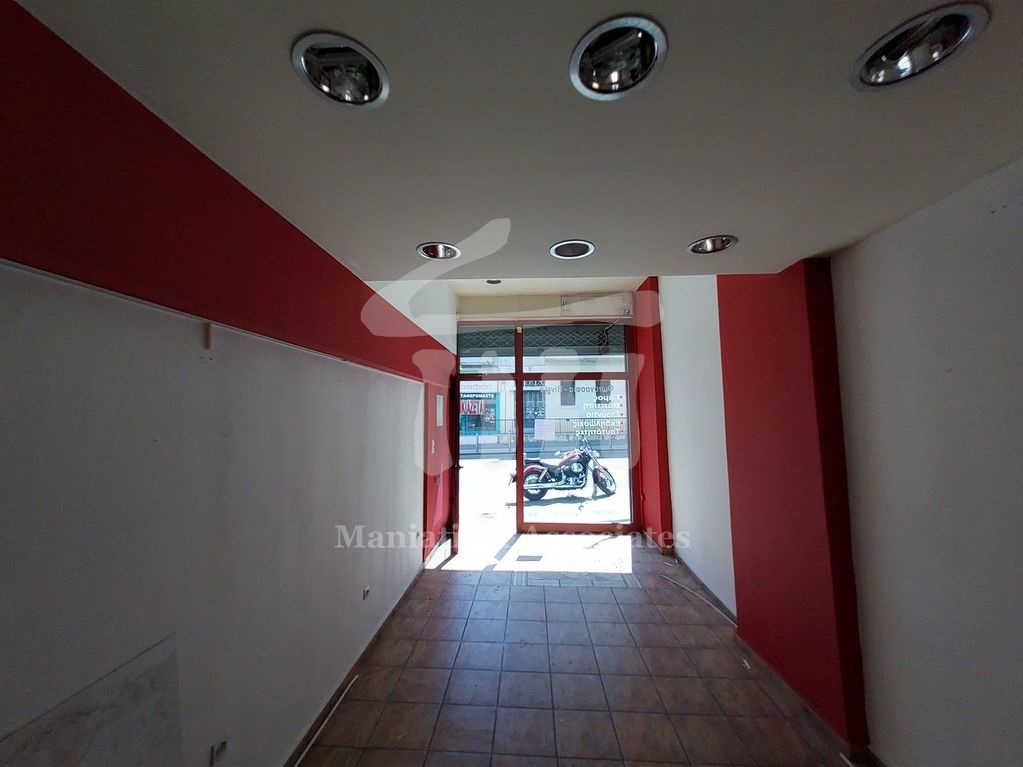 Gallery image 8